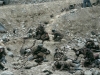 Jeff Wall   《Dead Troops Talk》  photographie 1991 2.29m X4m